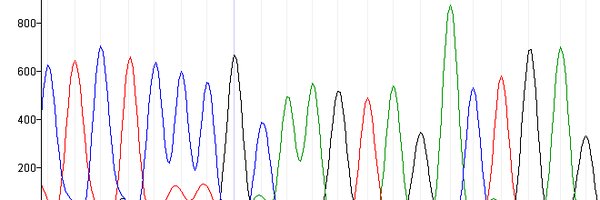 Beth_Barrie Profile Banner