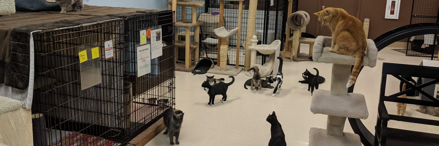 PartnersForPetsCats banner