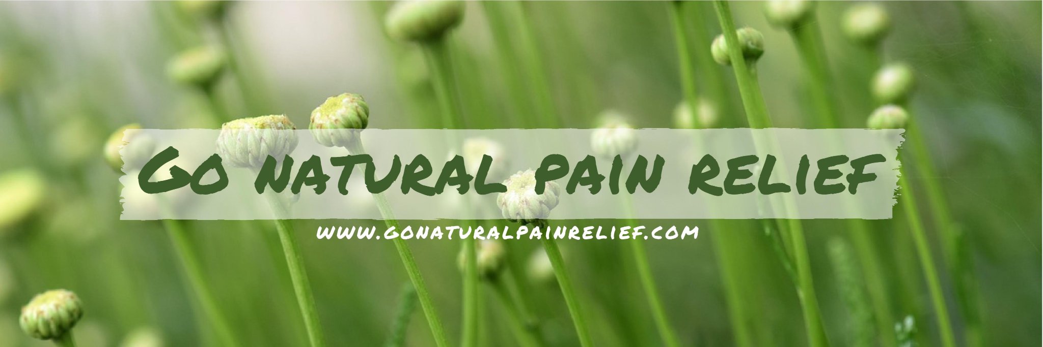 GoPainRelief's profile banner image