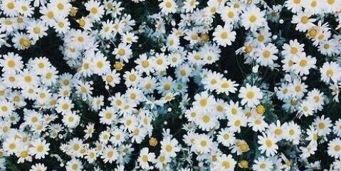 Krist_Oldewage's profile banner image