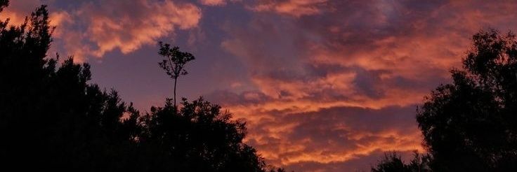 Uhhmelis's profile banner image