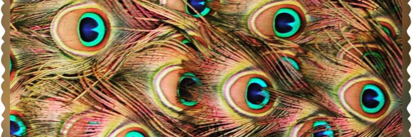 xofreckles's profile banner image