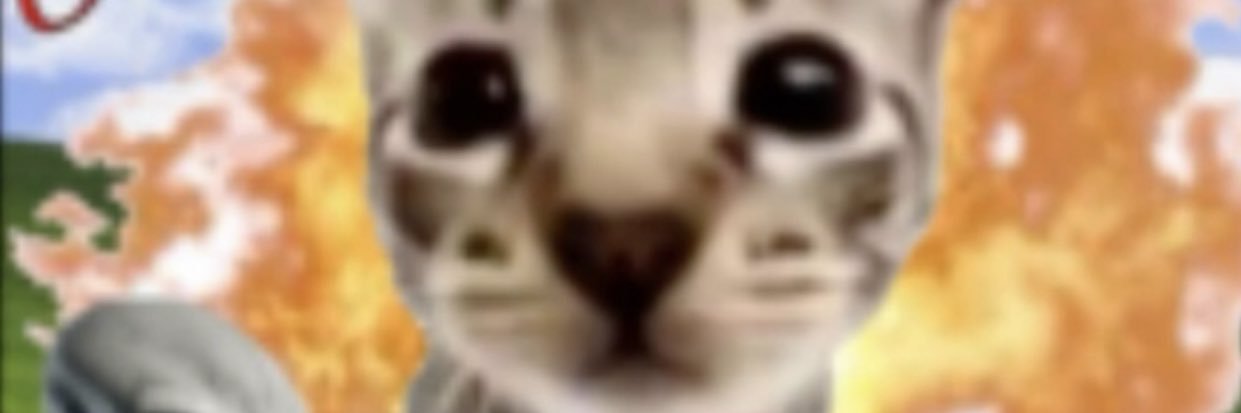 theawkwardcate's profile banner image