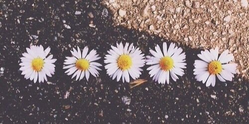 LauraPeachey4's profile banner image