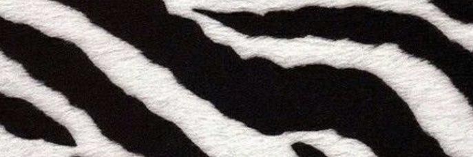 Carmenterron99's profile banner image