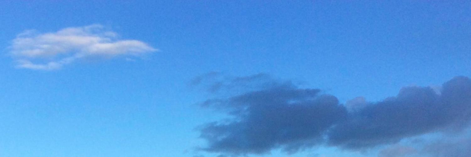 vonmalortie's profile banner image