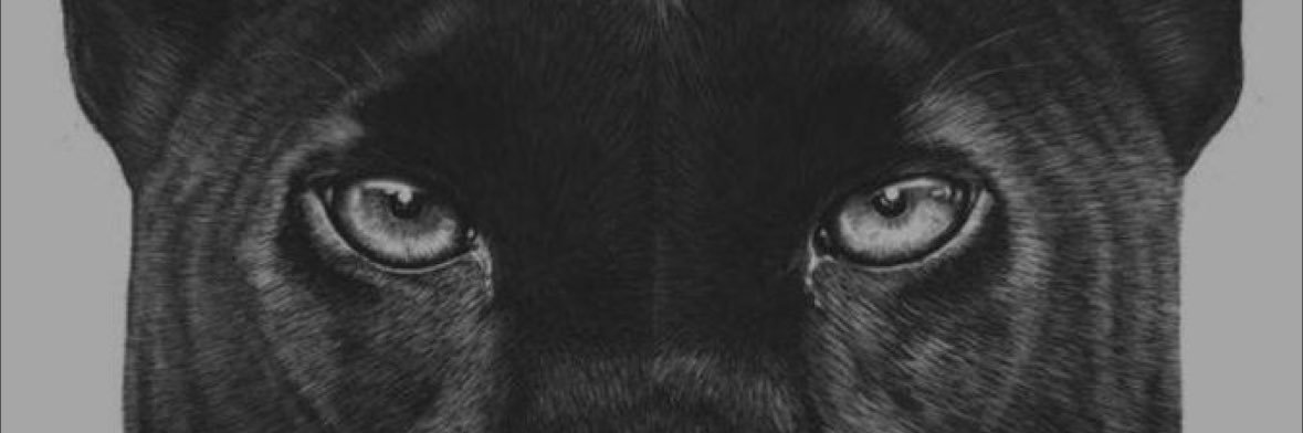 najwan_55's profile banner image
