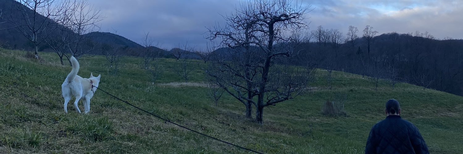 morganparrish_'s profile banner image