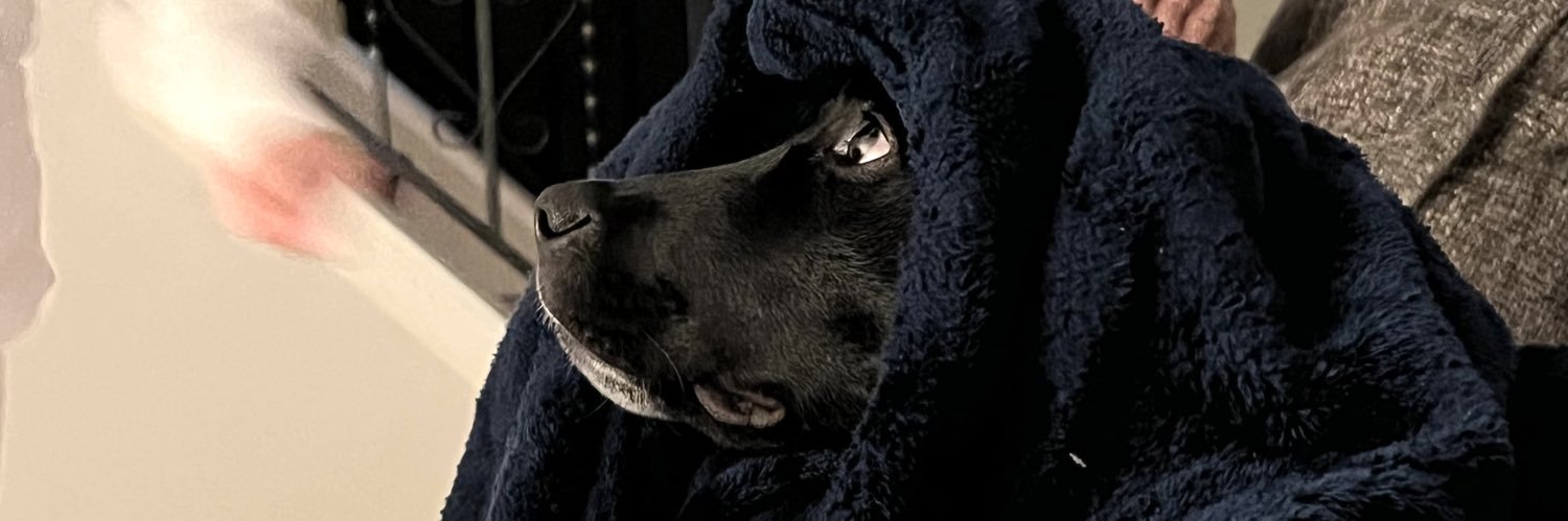 3foos4's profile banner image