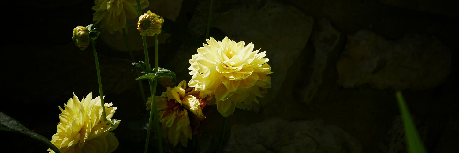 ArmanCron's profile banner image