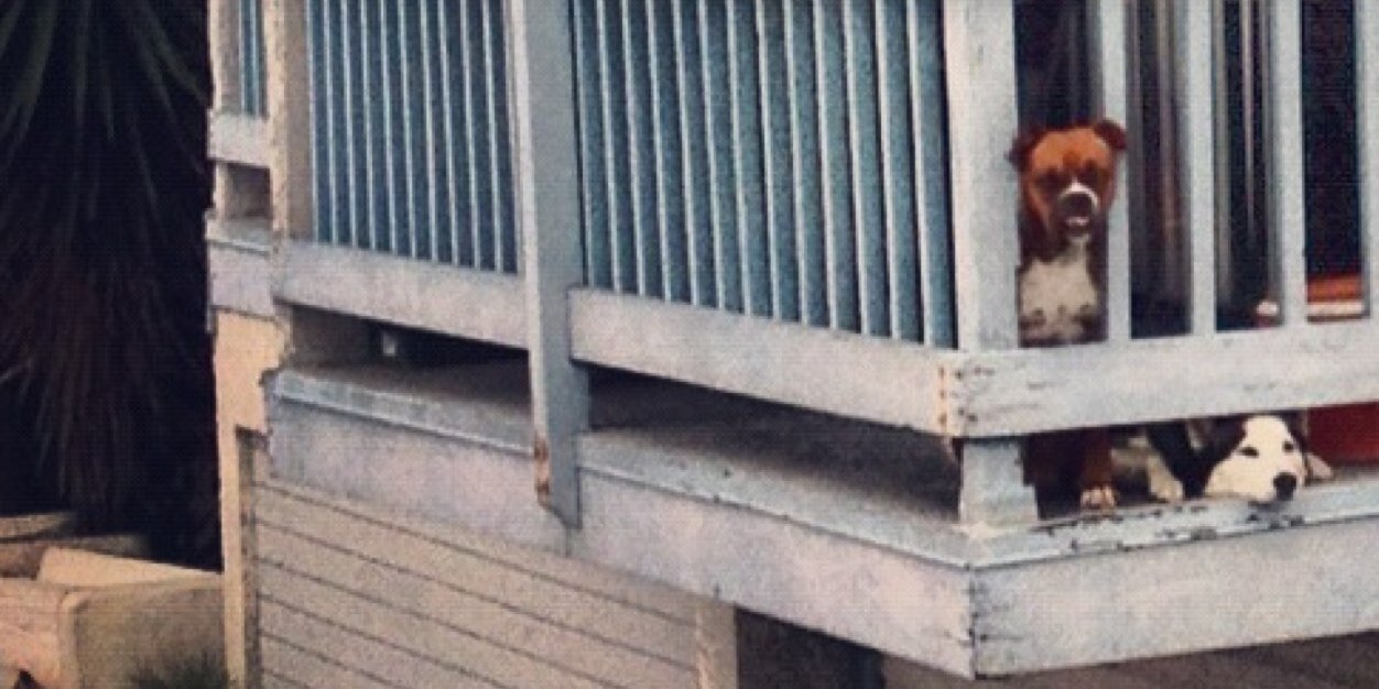 fvanbergem's profile banner image