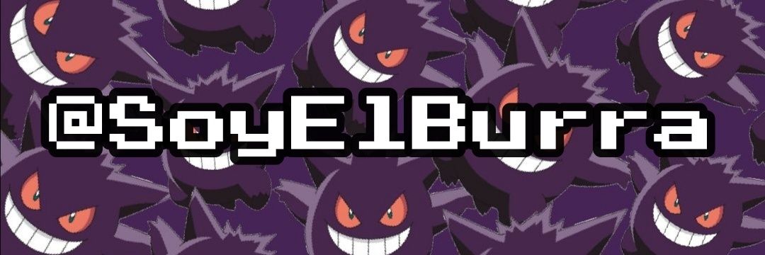 SoyElBurra's profile banner image