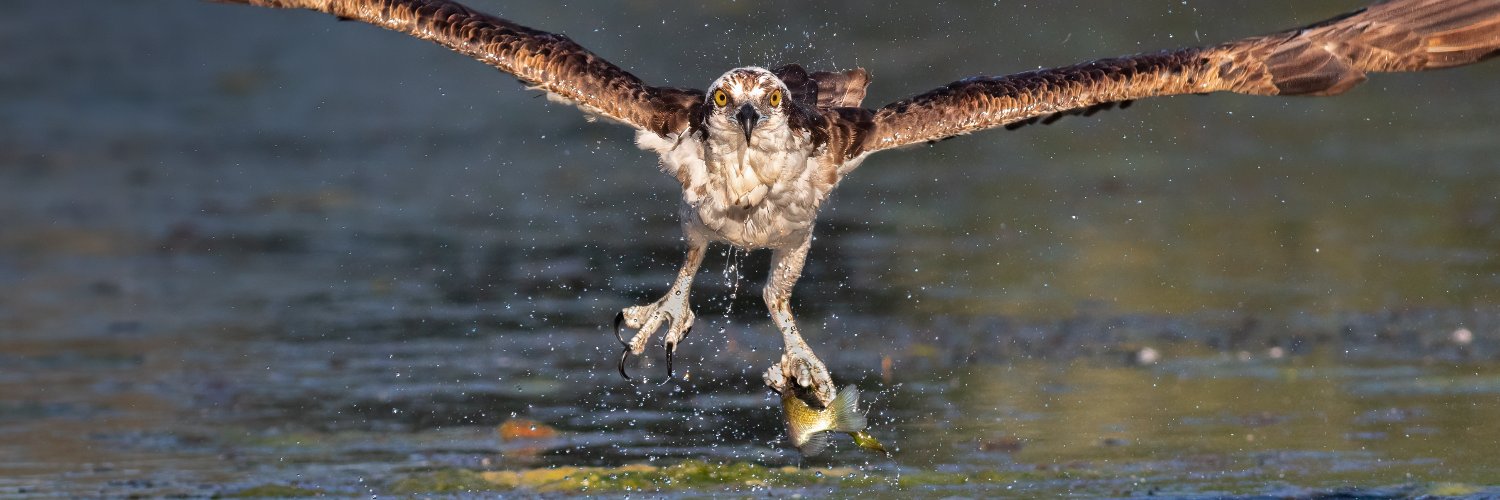 GaryRogersPhoto's profile banner image
