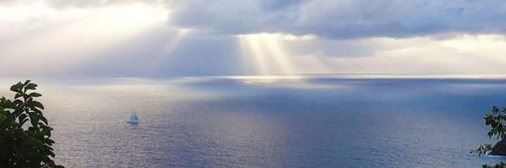 InesMelba's profile banner image