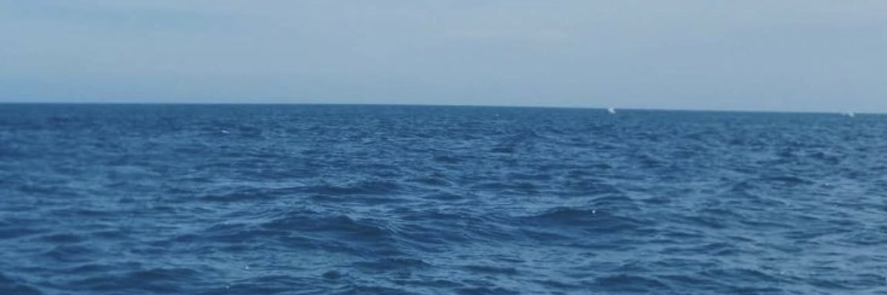 LindiGrey's profile banner image