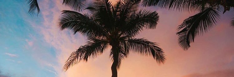 megan_messing's profile banner image