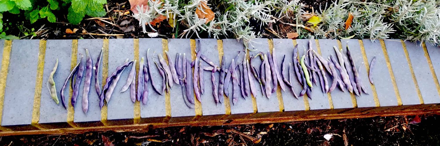 Edible High Town banner