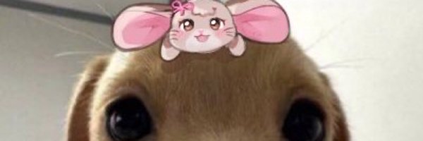 Jingggxd Profile Banner