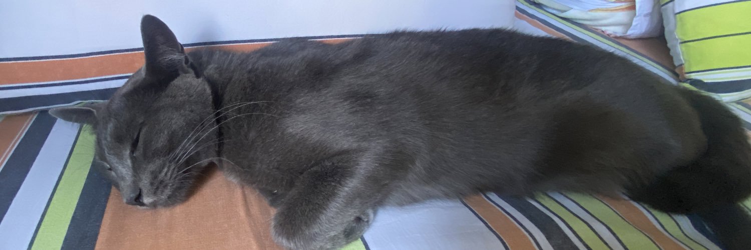 toinho3s's profile banner image