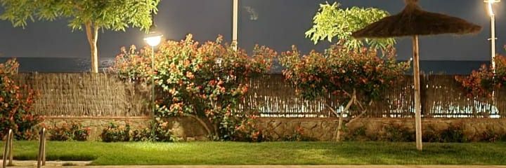 colometagg's profile banner image