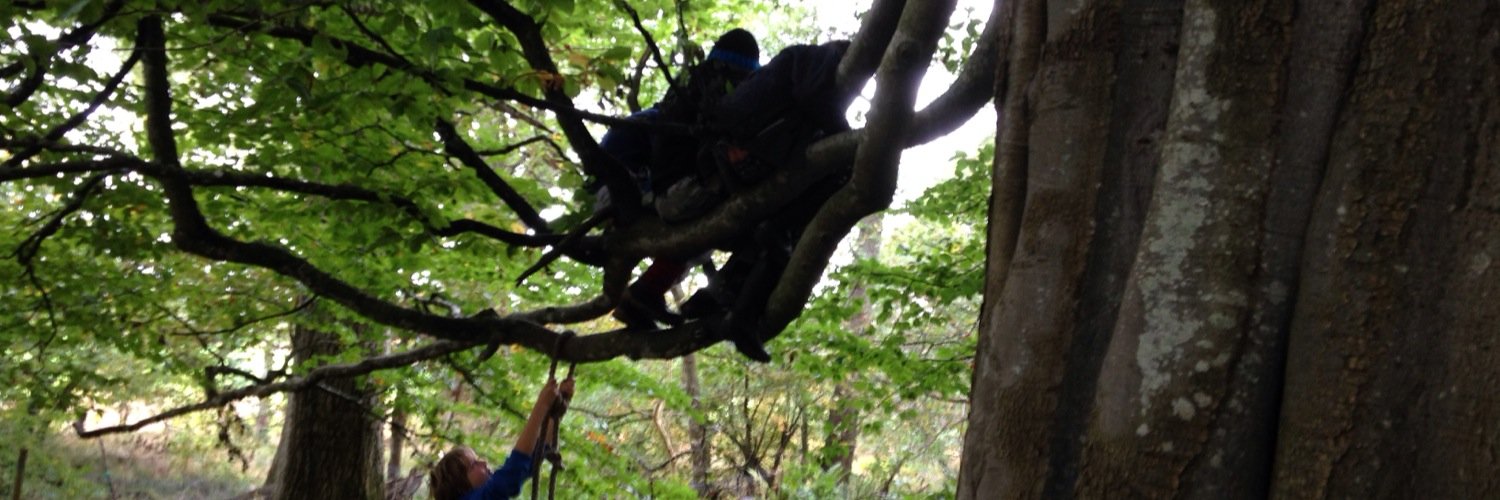 Felicity Robinson banner