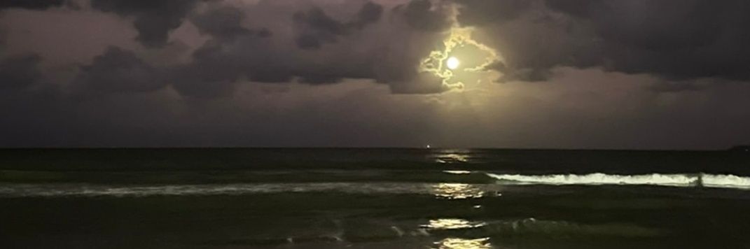 moon_ingaia_'s profile banner image