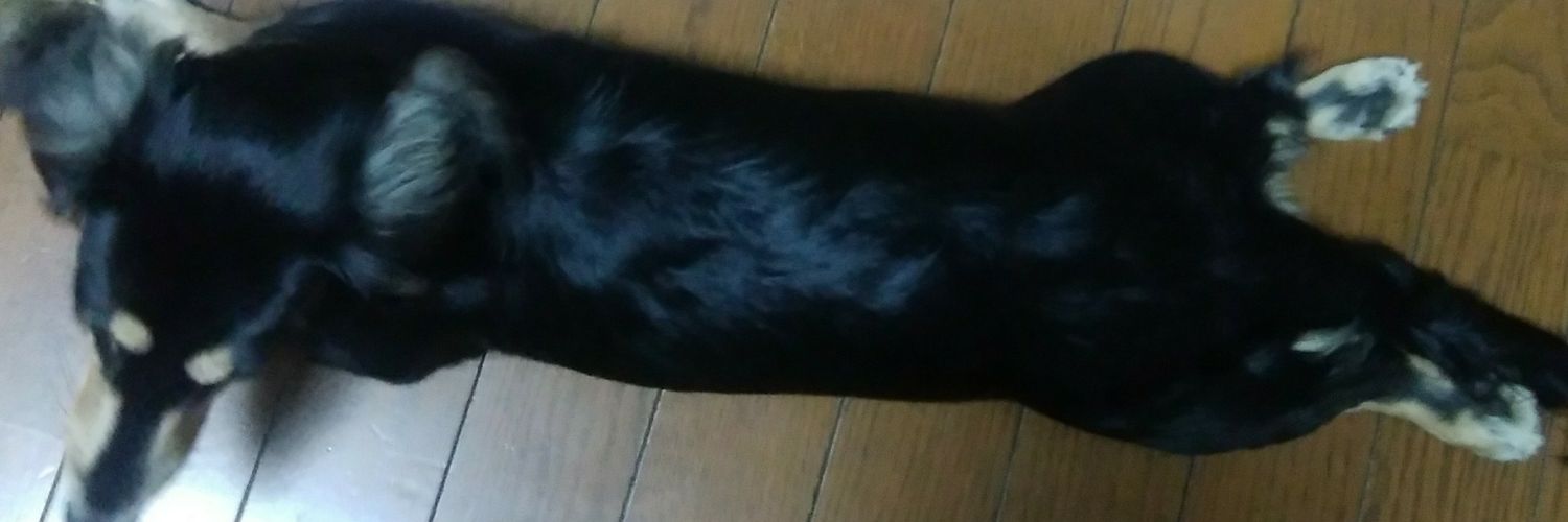 debugotoh1's profile banner image