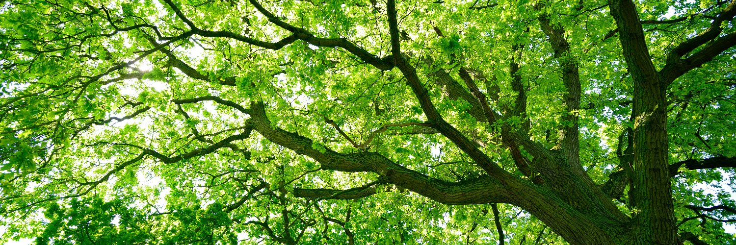 ECMInsurance's profile banner image