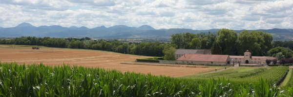 Limagrain Profile Banner