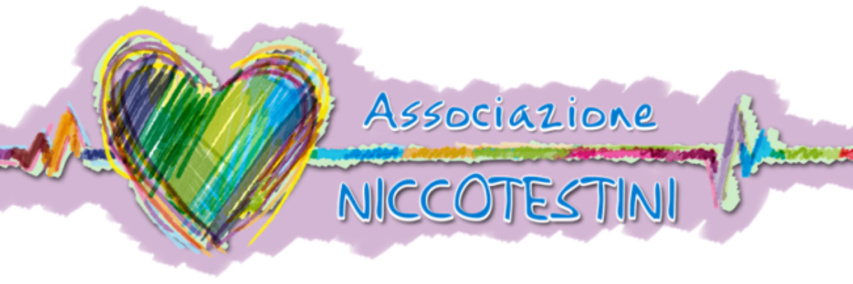niccotestini's profile banner image