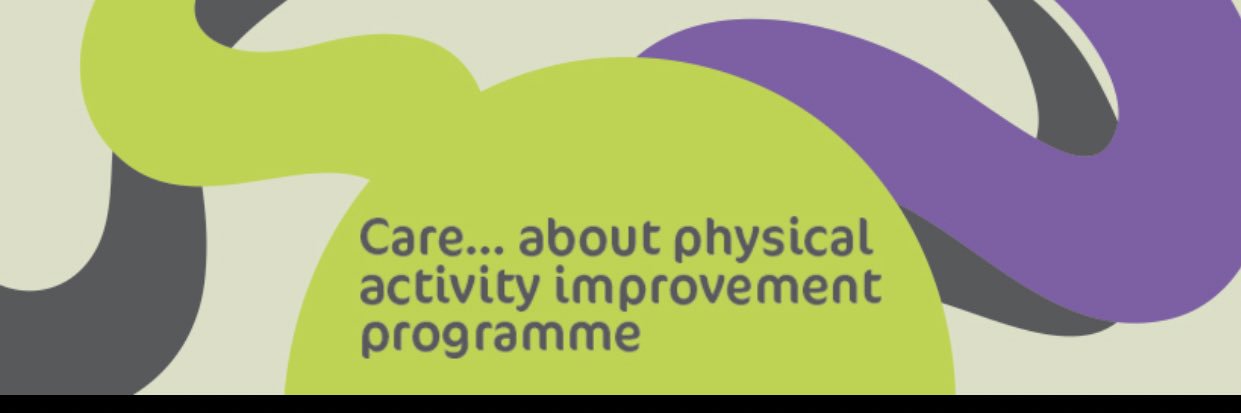 CAPA Programme banner