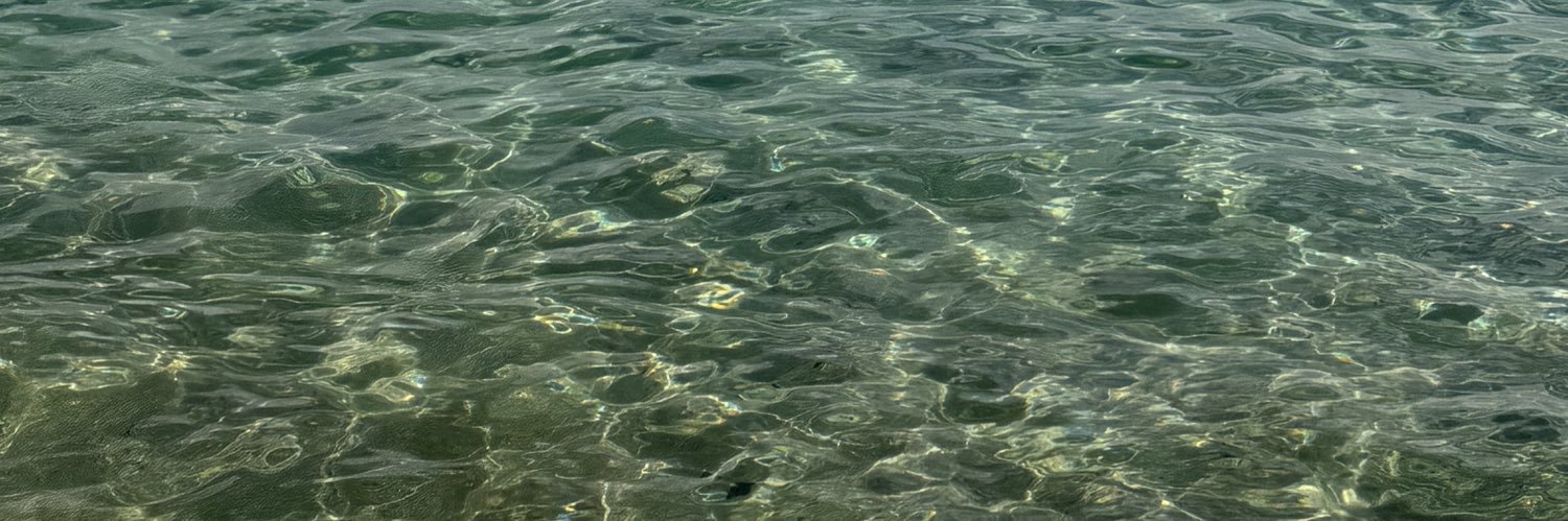 Jamie Cheeseman banner