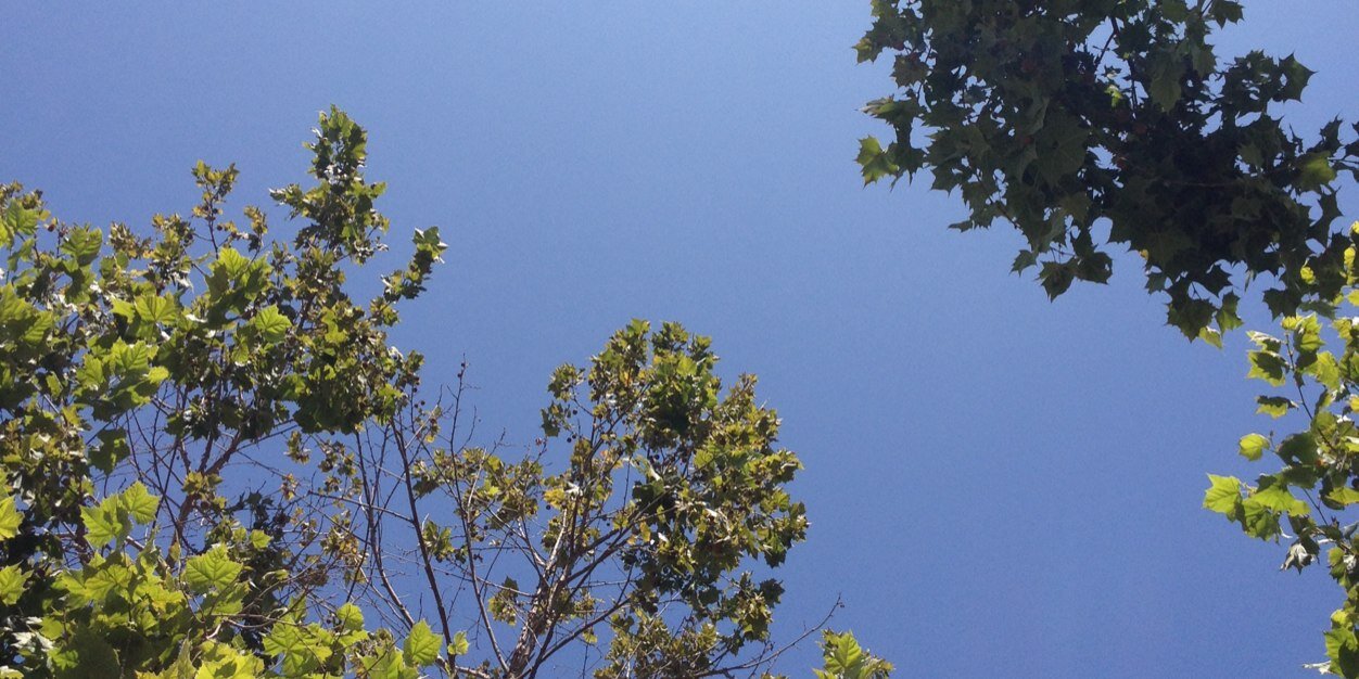 breeroseharper's profile banner image