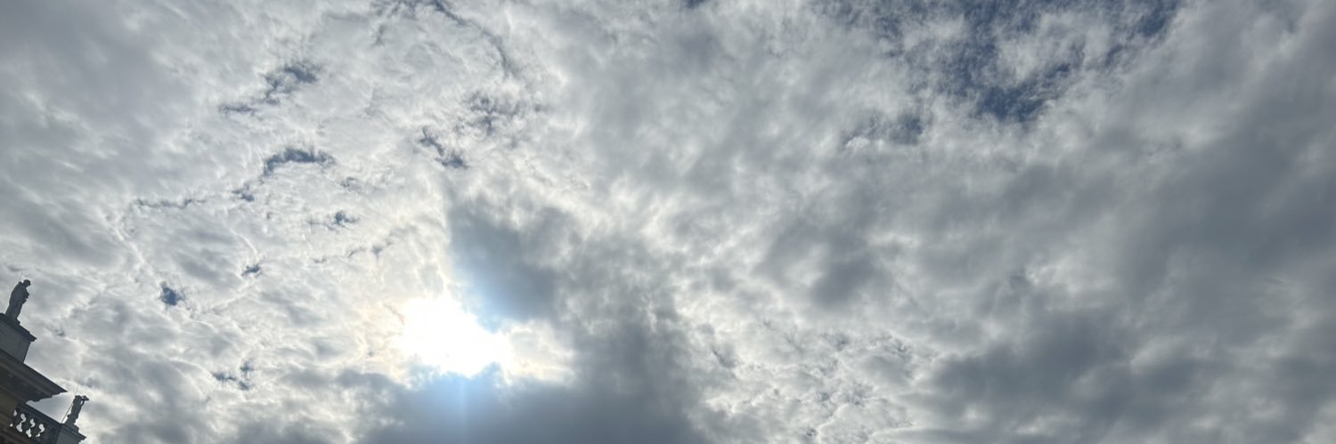 silieviv's profile banner image