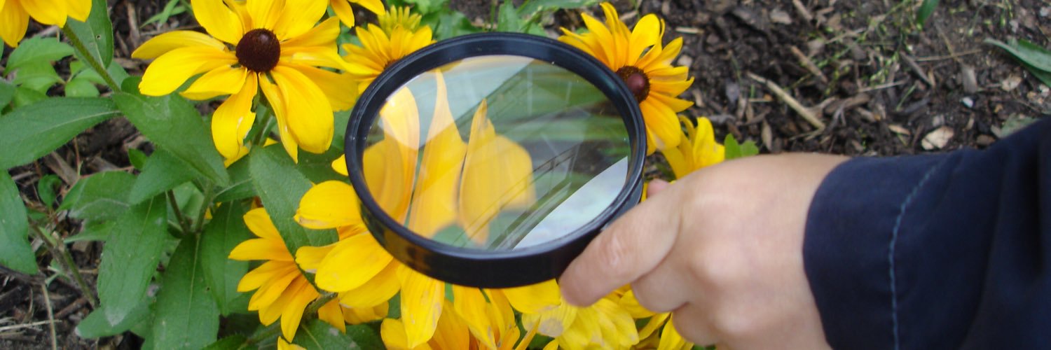 Kindergarten Room 14 banner