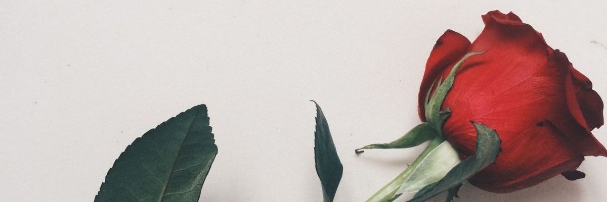 t_vrlmva's profile banner image