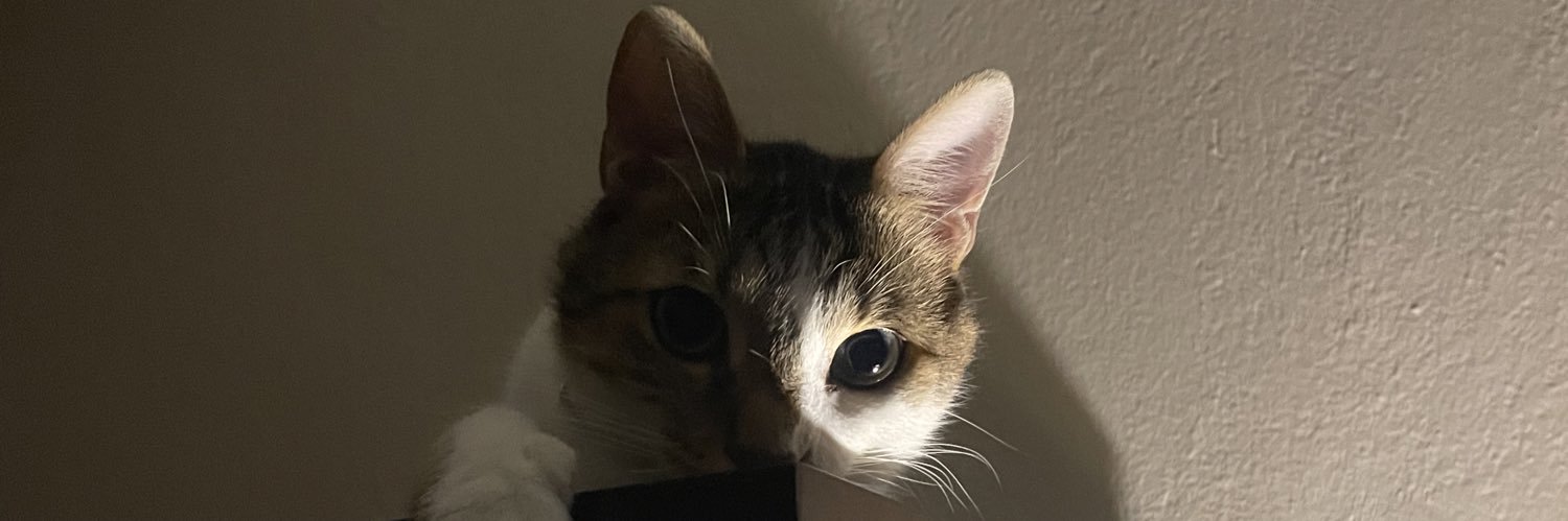 sarablabbering's profile banner image