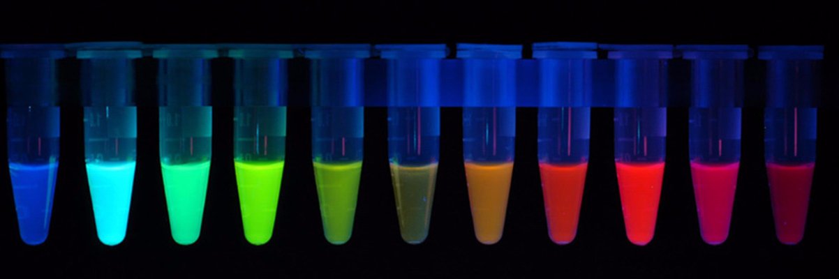 UCSD Biomed Sciences PhD Program banner