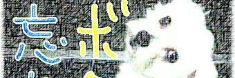 major5617's profile banner image