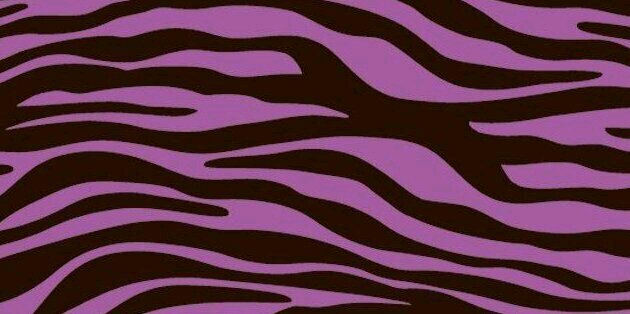 DulceHassel's profile banner image