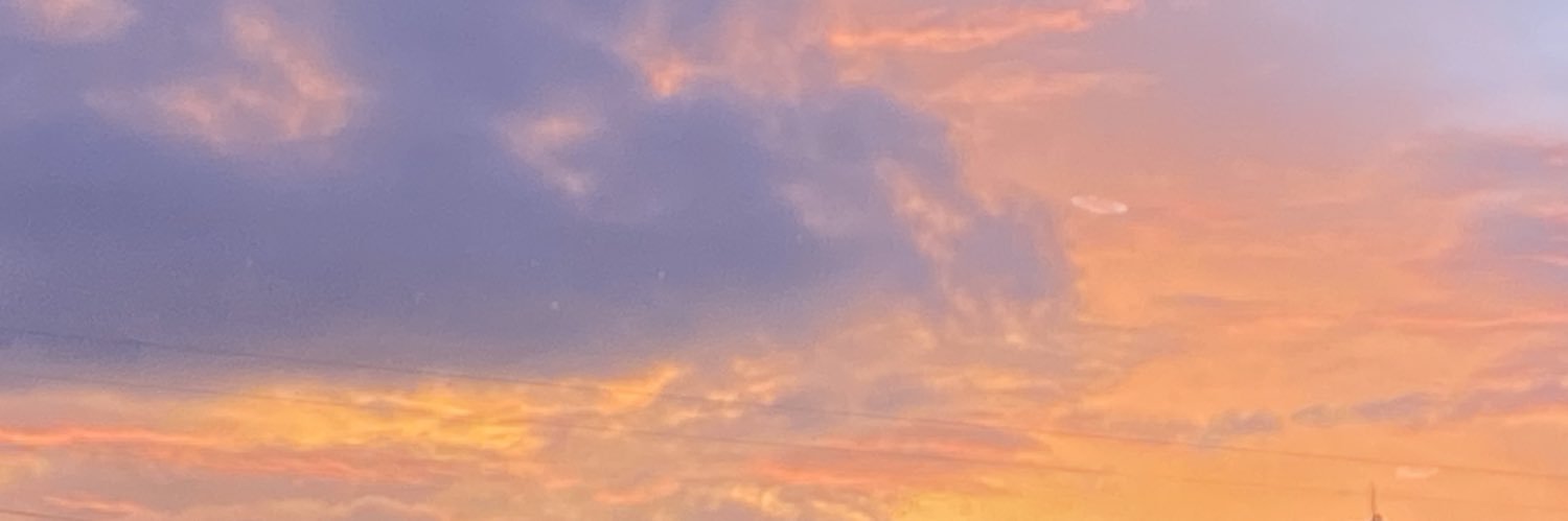 _carolicia's profile banner image