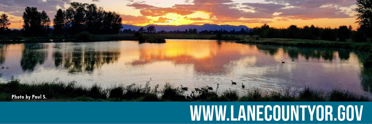 Lane County Gov banner