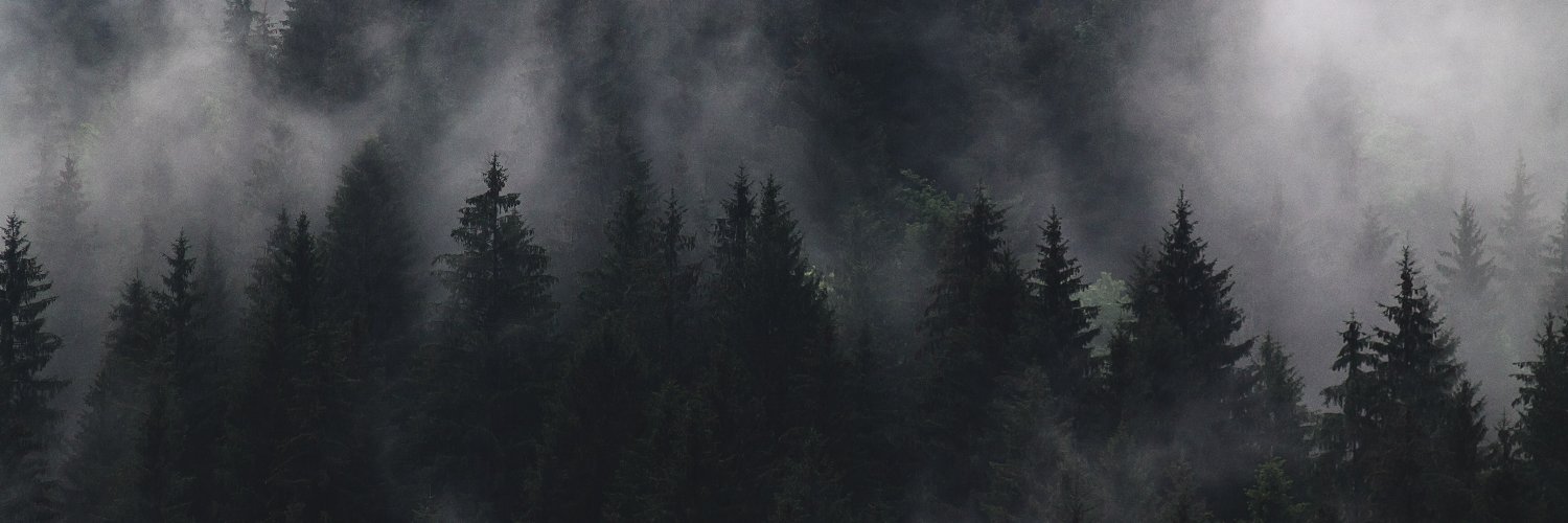 JakkiKite's profile banner image
