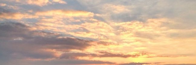 ♈'§h4π♈ banner