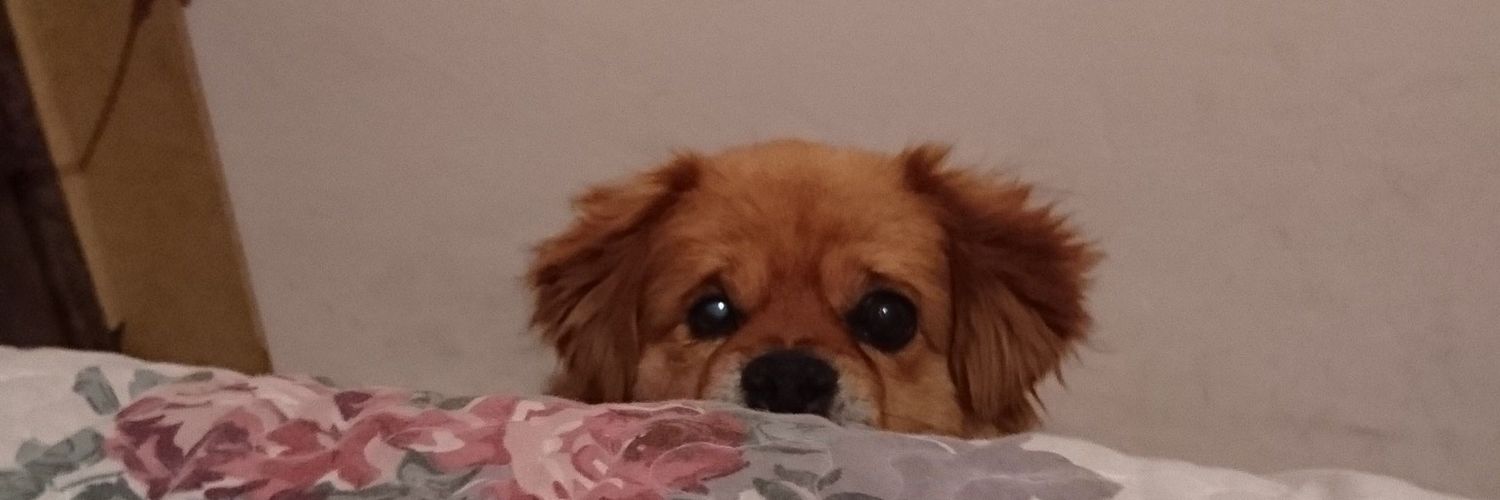 AgussLovera's profile banner image
