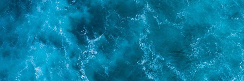 Puck Reeders PhD banner