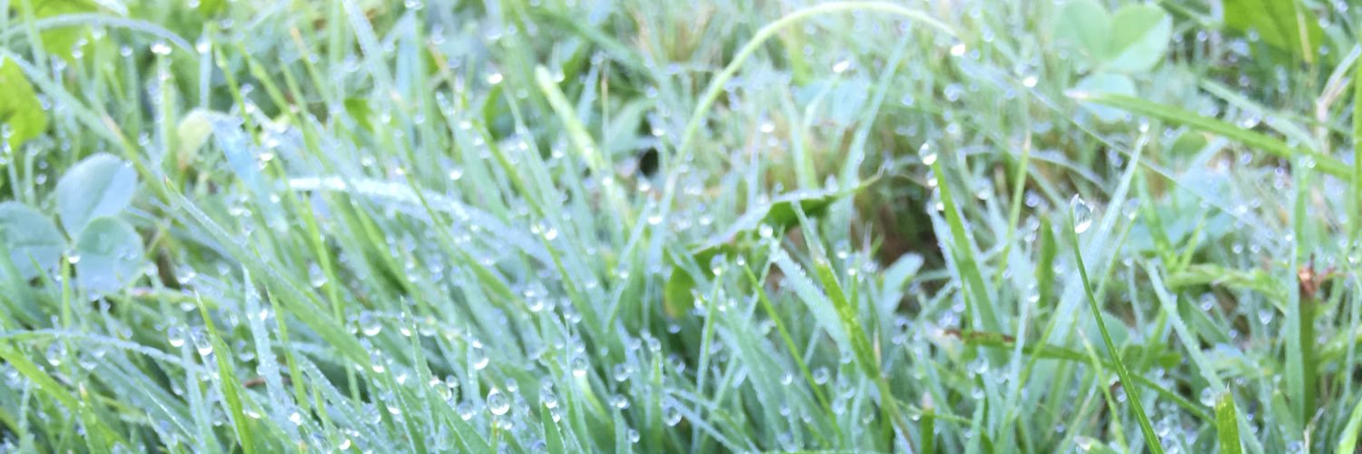 yulia_tigrulia's profile banner image