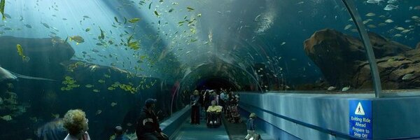 nautilusmaker Profile Banner