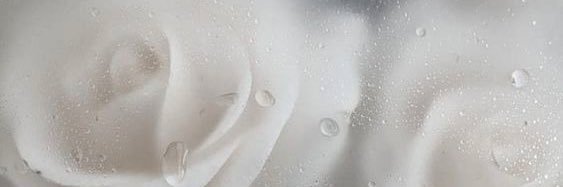 talkingtomoon_'s profile banner image