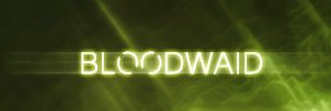 Bloodwaid's profile banner image